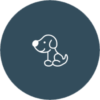 Private Dog Training Packages